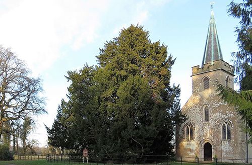 Hidden Britain Tours Image Link